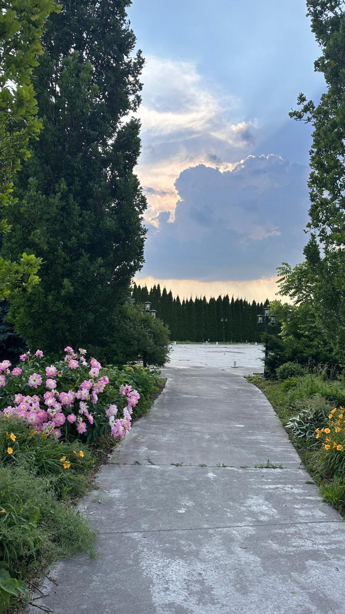 Stone Willow Inn Saint Marys Экстерьер фото
