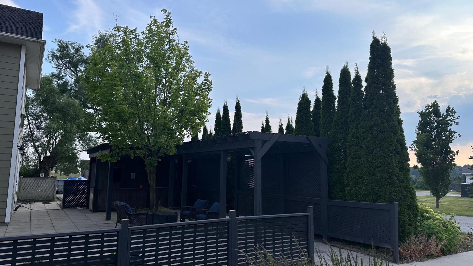 Stone Willow Inn Saint Marys Экстерьер фото